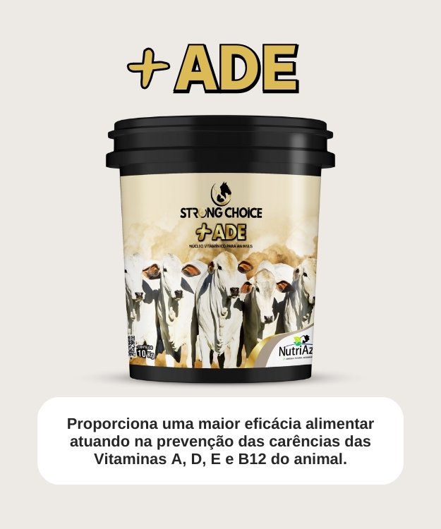 ADE