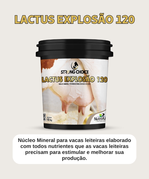 Lactus explosão 120