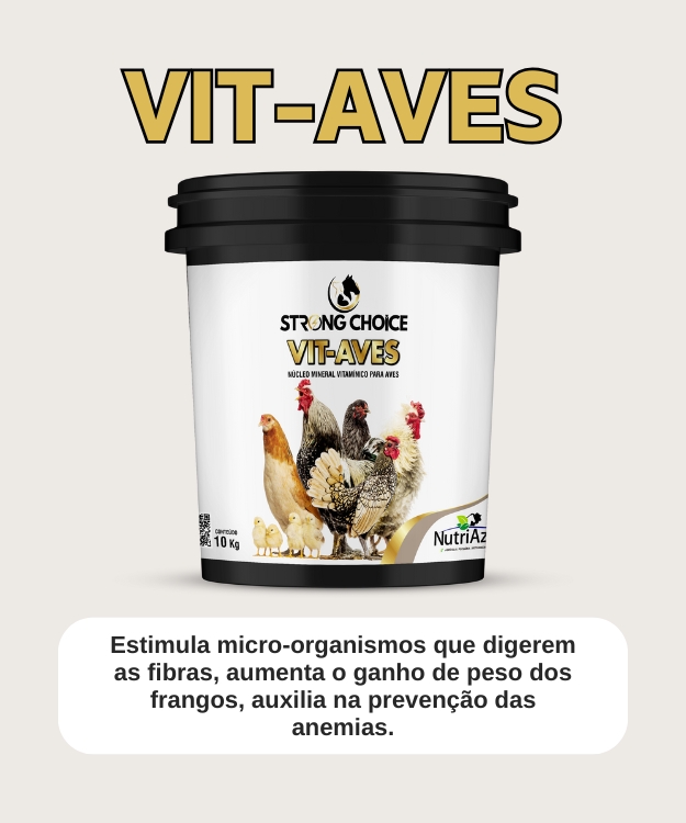 Vit-AVES