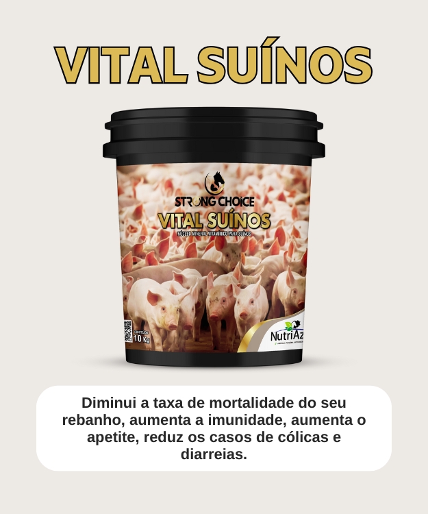 Vital suínos