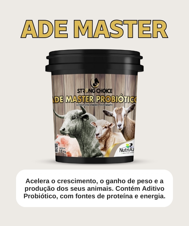 ade master