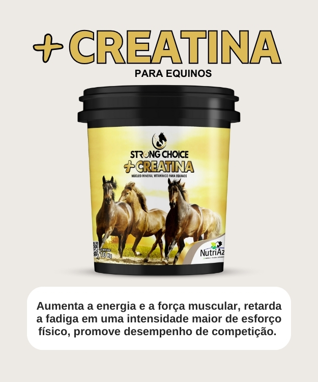 + creatina