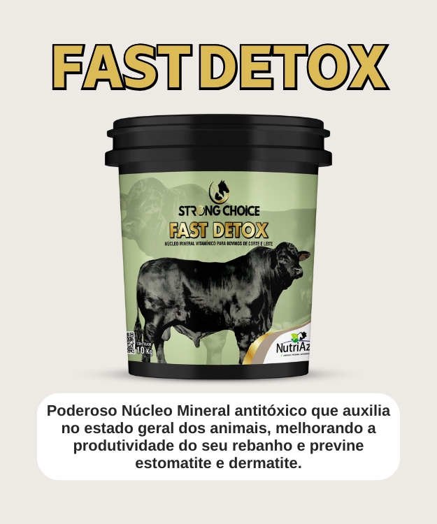 fast detox