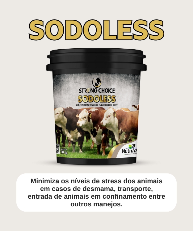 sodoless